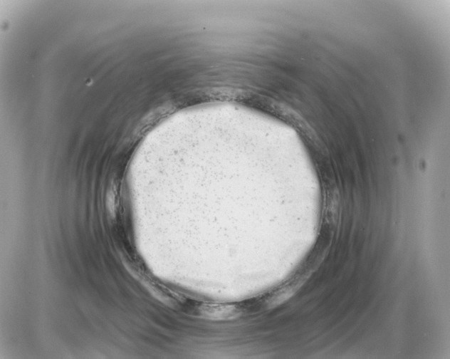 X0000085210334200704091913