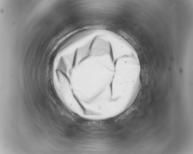 X0000085210338200704091912