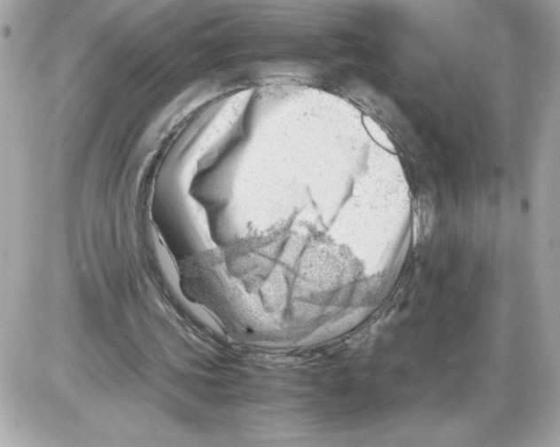 X0000085210339200704091912