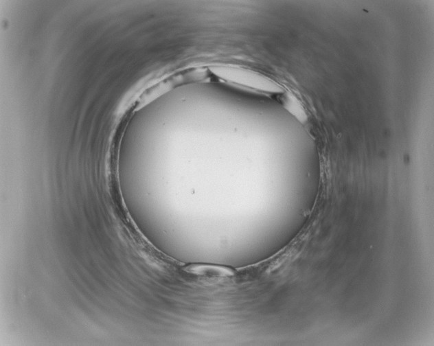 X0000085210340200704091912