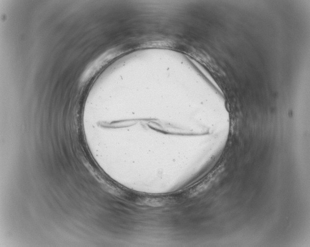 X0000085210341200704091912