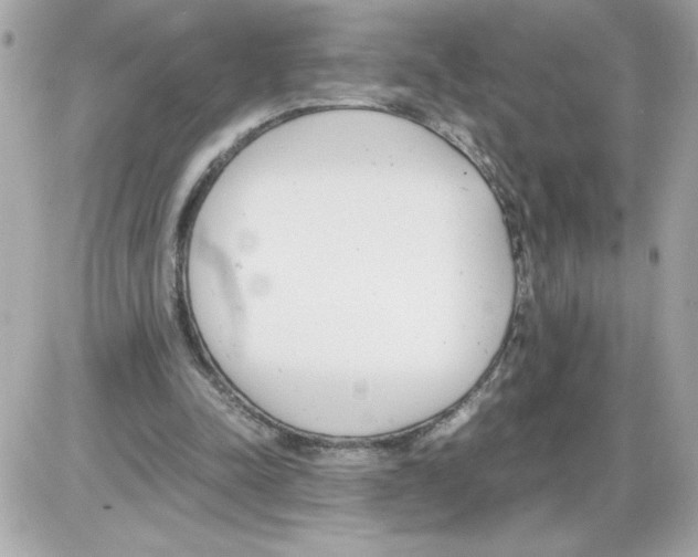 X0000085210342200704091912