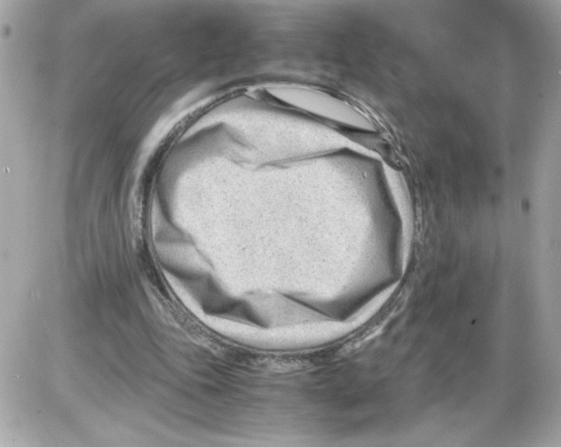 X0000085210343200704091912