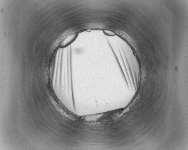 X0000085210345200704091912