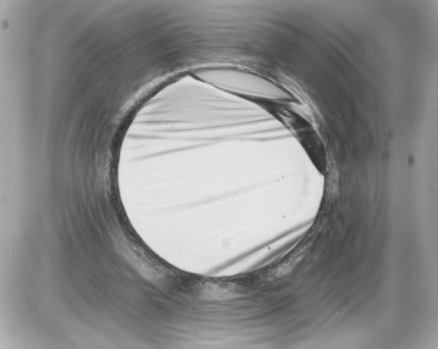 X0000085210346200704091912