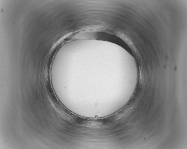 X0000085210348200704091912