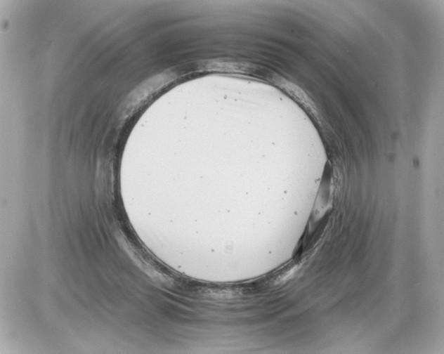 X0000085210349200704091912