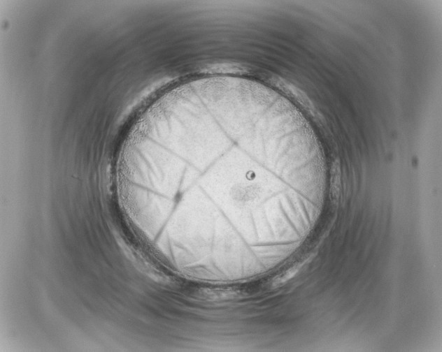 X0000085210351200704091912