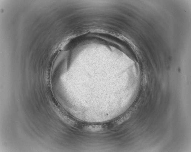 X0000085210353200704091912