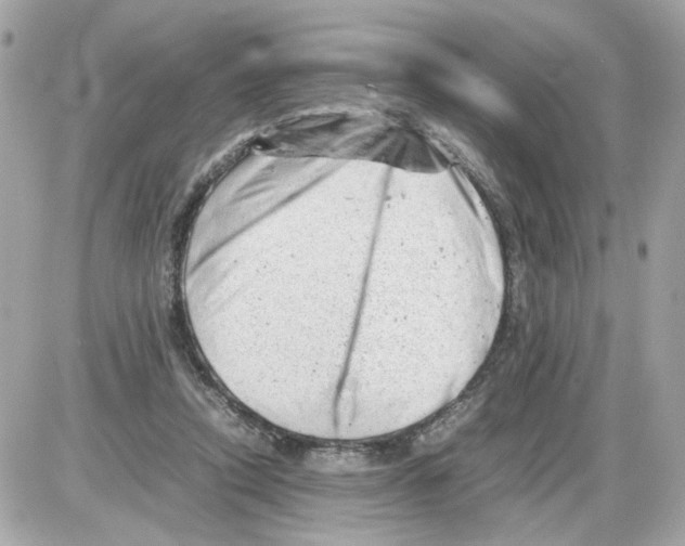 X0000085210354200704091912