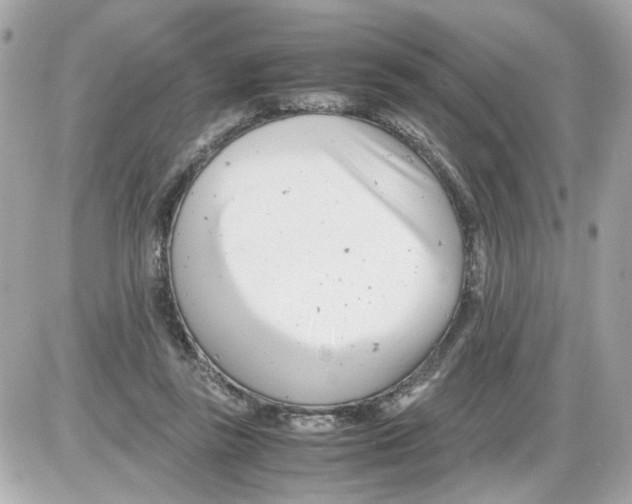 X0000085210355200704091912