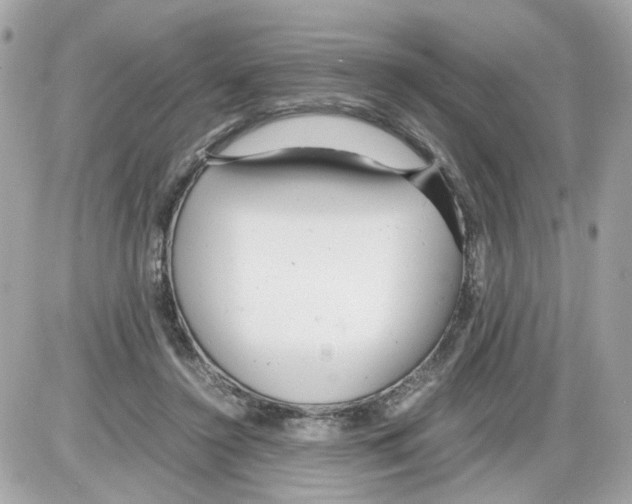 X0000085210356200704091912