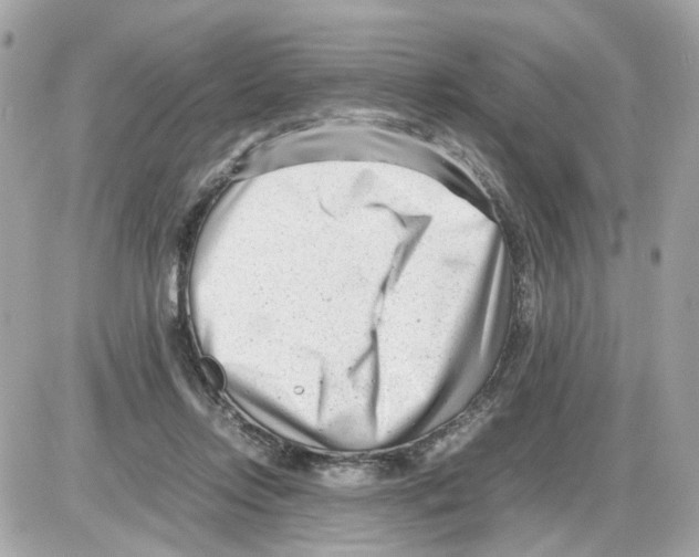 X0000085210358200704091912