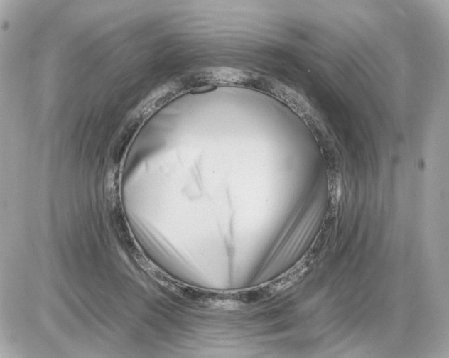 X0000085210360200704091912