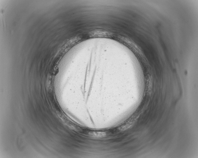 X0000085210361200704091912