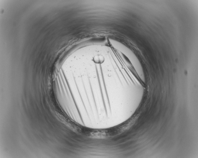 X0000085210362200704091912