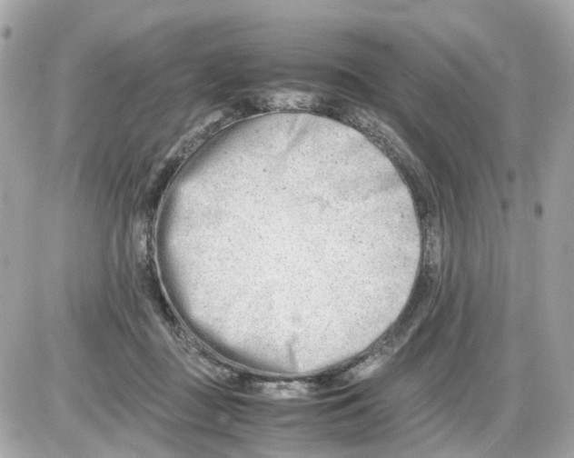 X0000085210363200704091912