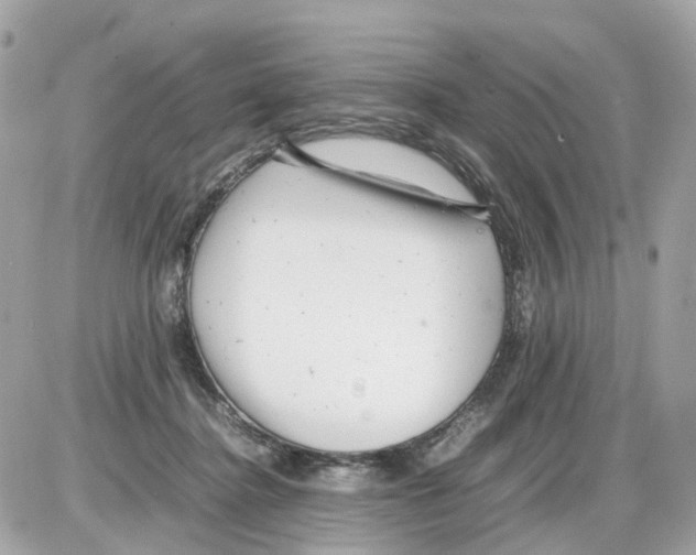 X0000085210364200704091912