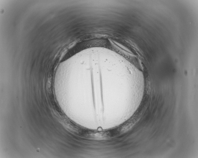 X0000085210365200704091912