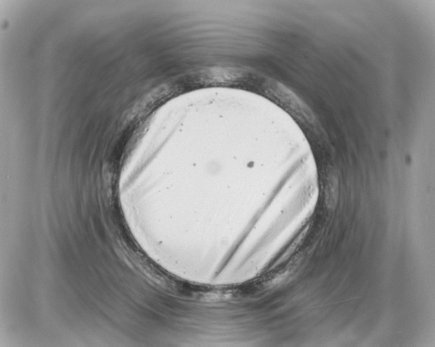 X0000085210366200704091912