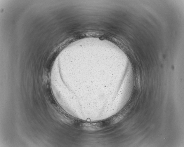 X0000085210367200704091912