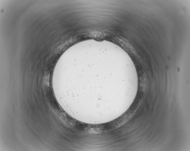 X0000085210368200704091912