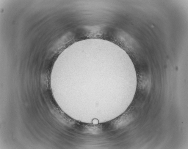 X0000085210370200704091912