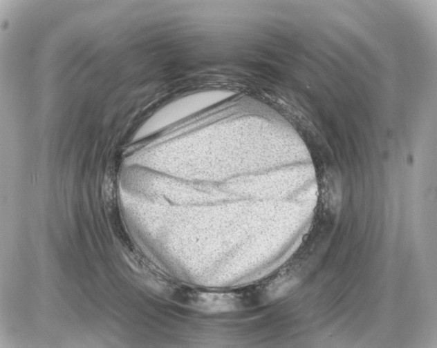 X0000085210371200704091912