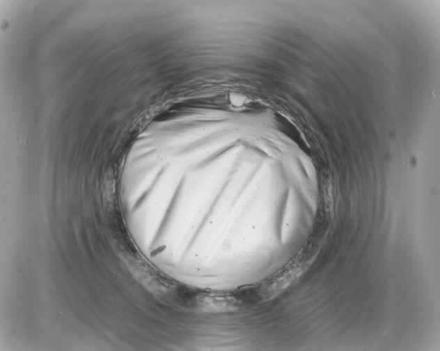 X0000085210372200704091912