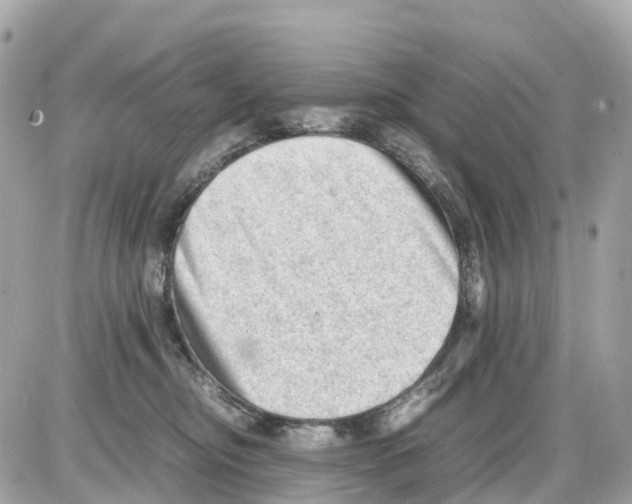 X0000085210374200704091912