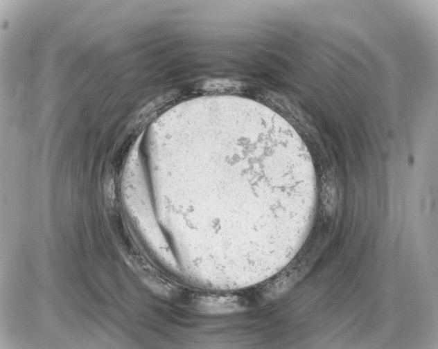 X0000085210375200704091912