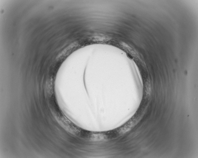 X0000085210376200704091912