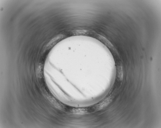 X0000085210378200704091912