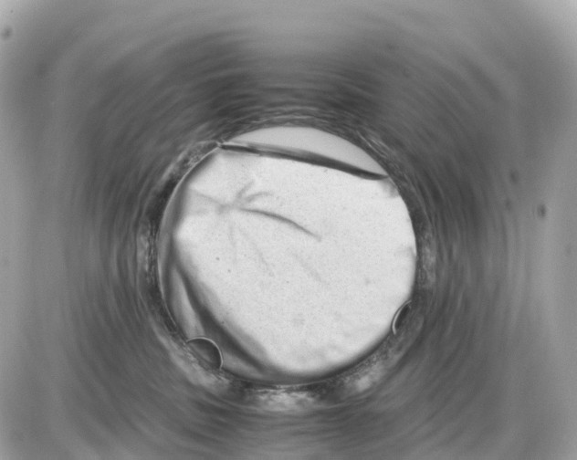 X0000085210379200704091912