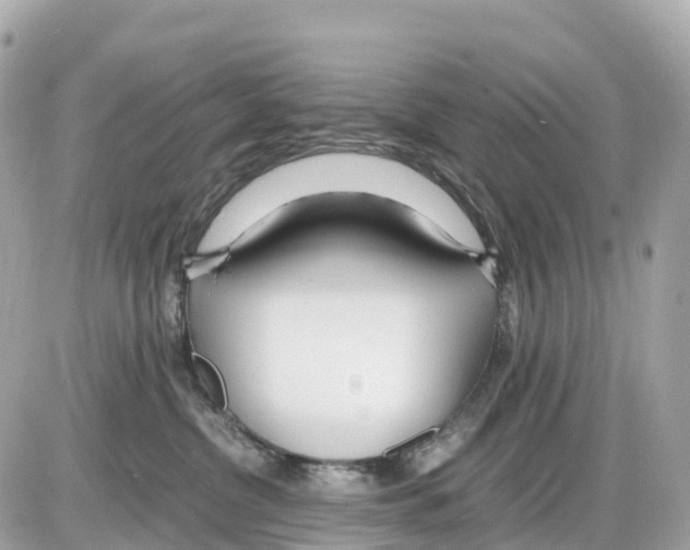 X0000085210380200704091912