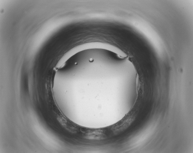 X0000085210382200704091912