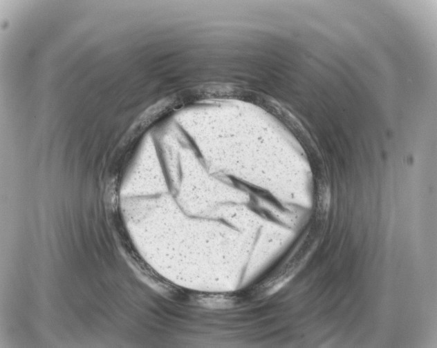 X0000085210383200704091912