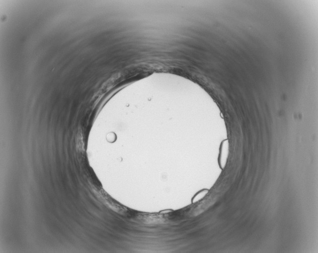 X0000085210384200704091912