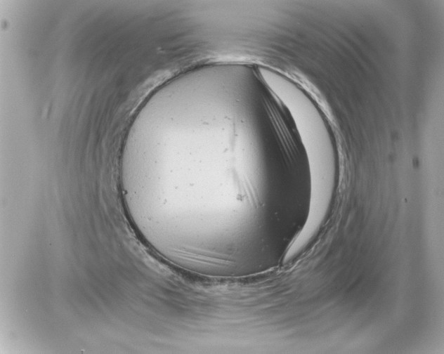 X0000085210385200704091912