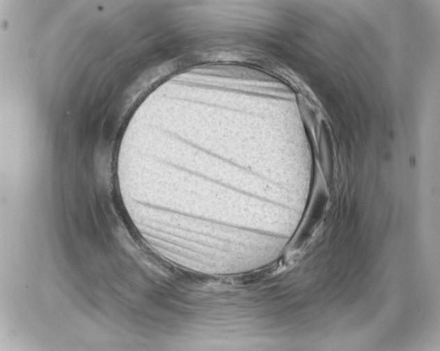 X0000085210386200704091912