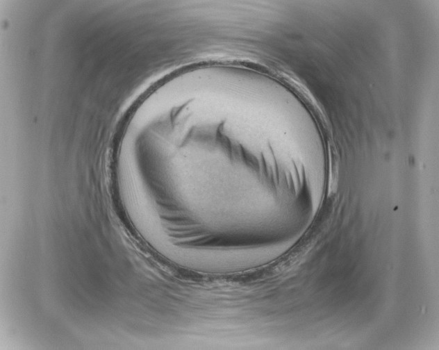 X0000085210387200704091912