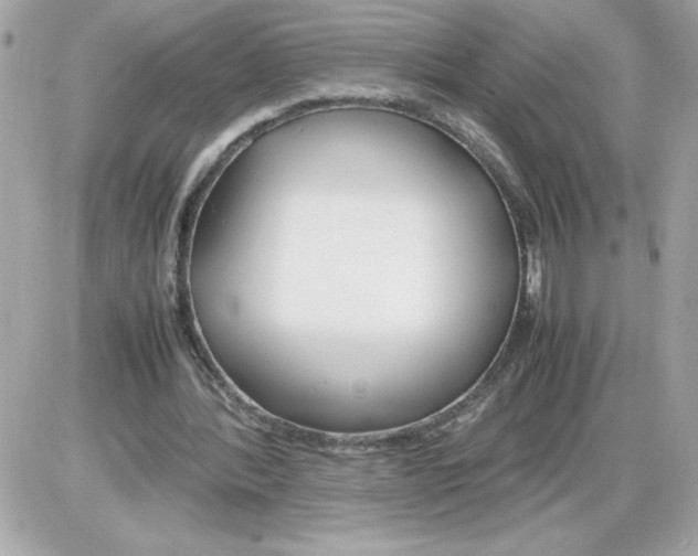 X0000085210388200704091912