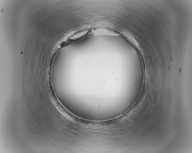 X0000085210389200704091912