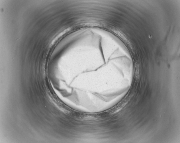 X0000085210390200704091912