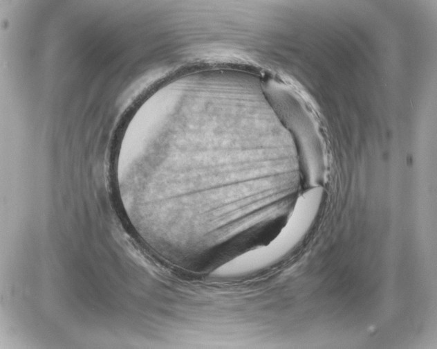 X0000085210391200704091912