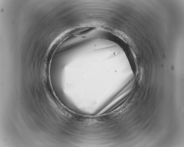 X0000085210392200704091912