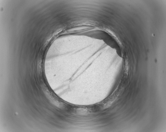 X0000085210394200704091912