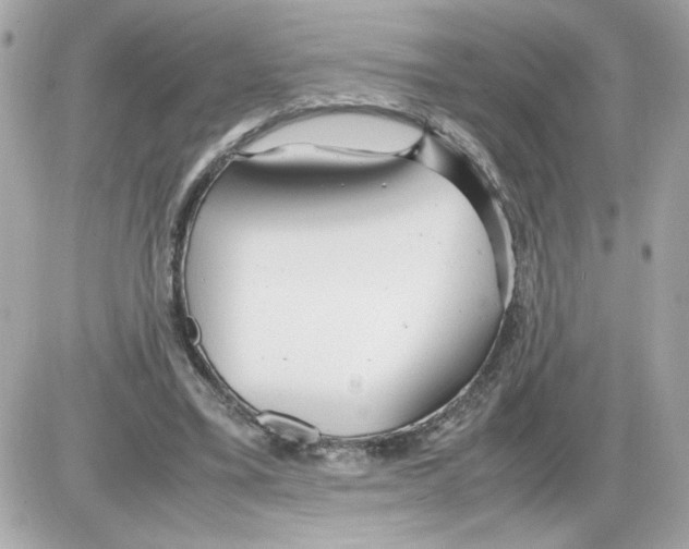 X0000085210395200704091911