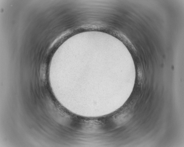 X0000085210396200704091911