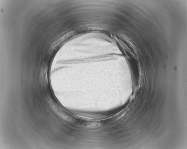 X0000085210398200704091911